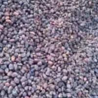 نیازمند نیروخانم جهت بسته بندی،دوشیفت