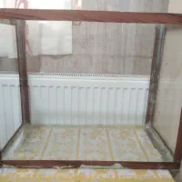 اکواریوم