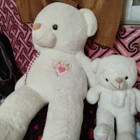 دو عدد خرس کوچک بزرگ|اسباب‌بازی بچه|مبارکه, |دیوار