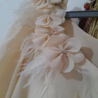 لباس مجلسی|لباس|گوراب زرمیخ, |دیوار