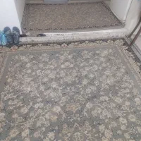 فرش 12 و 2.5 متری 700شانه ست هم