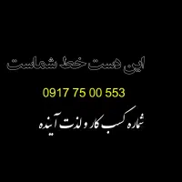 ۰۹۱۷۷۵۰۰۵۵۳
