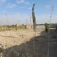 فروش یا تهاتر زمین با ملک یا ماشین زیر قیمت منطقه|فروش زمین و ملک کلنگی|چهاردانگه (تهران), |دیوار