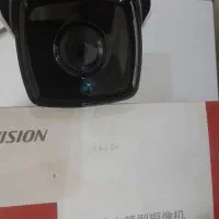 معاوضه با کبوتر ،سهره، مرغ عشق، پرنده