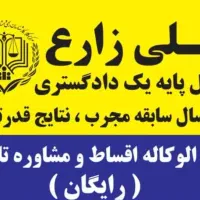 وکیل دادگستری و مشاور حقوقی