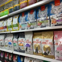 پت شاپ پت لایت