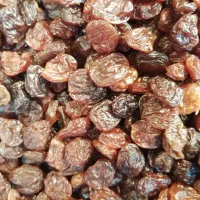 کشمش|خوردنی و آشامیدنی|زنجان, |دیوار