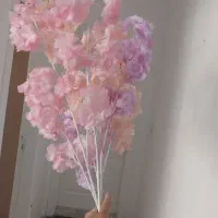 سه شاخه شکوفه زیبا