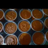 سمنو|خوردنی و آشامیدنی|مشهد, مشکینی (شهرک غرب)|دیوار