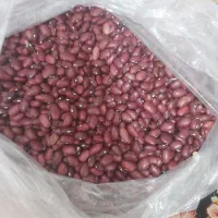 لوبیا چیتی عدس لوبیا قرمز لپه فروشی