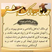 سر کتاب و تاله بینی