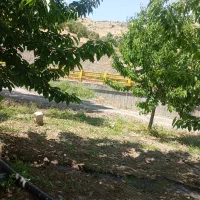 زمین کشاورزی