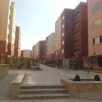 واحد تک خواب زیتون 17 هکتاری