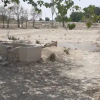 زمین