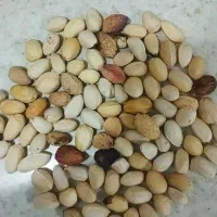 پوک|خوردنی و آشامیدنی|فردوس (کرمان), |دیوار