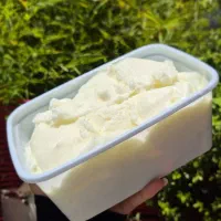بستنی و پالوده سنتی شیراز|خوردنی و آشامیدنی|شیراز, حافظیه|دیوار