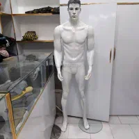 یک عدد مانکن مردانه