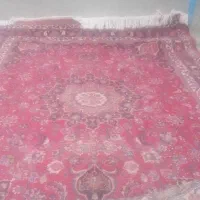 فرش سالم بدون زدگی
