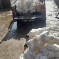 کره‌گاوی‌‌به‌ضمانت‌|خوردنی و آشامیدنی|مشهد, فاطمیه|دیوار