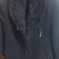 پالتو