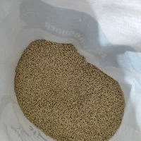 فروش پلت پرواری عباس زاده