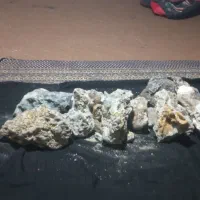 سنگ قیمتی|کلکسیون اشیاء عتیقه|پائین جام, |دیوار