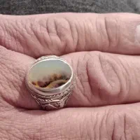 شجرقائن|جواهرات|خرم‌آباد, |دیوار