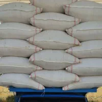 کاه گندم سفید سرگل کمباین