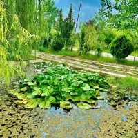 دنیای متفاوت ویلای متفاوت