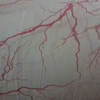 سفره یک بار مصرف