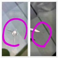 ترمیم (انواع ترک و سنگ خوردگی) شیشه اتومبیل مراغه