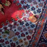 تعدادی وسایل منزل به فروش میرسد