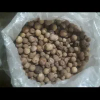 لیموخشک ارگانیک