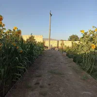 باغ 560متری کشمیری|فروش زمین و ملک کلنگی|مشهد, شهید علی محمدی|دیوار
