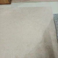 پالاز موکت|موکت|خرمدره, |دیوار