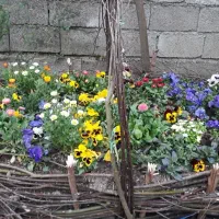 اجاره شبانه و هفتگی ویلا دربستی|اجارهٔ کوتاه‌مدت ویلا و باغ|خرم‌آباد (تنکابن), |دیوار