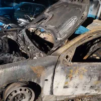 ۲۰۶ sd مدل ۹۴|خودرو سواری و وانت|تهران, شهرک چیتگر|دیوار