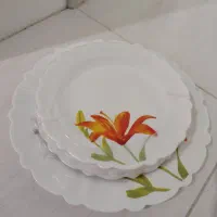ست میوه خوری
