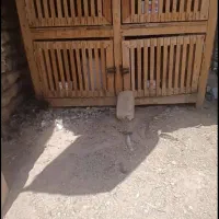 قفس پرنده