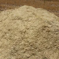 کاه گندم