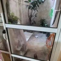 اجاره آپارتمان ۶۰متراخواب بلوار خرمشهر کوچه وصال|اجارهٔ آپارتمان|رشت, کوی طالقانی|دیوار