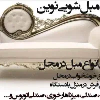 شستشو مبل و فرش و... در منزل|خدمات نظافت|نی‌ریز, |دیوار