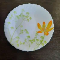 آرکوپال