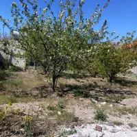 املاک محمدی وشنوه خانه متراژ 130