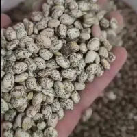 لوبیا چیتی،لوبیاقرمز