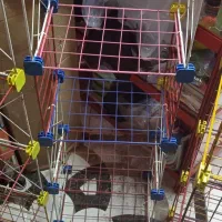 قفسه فلزی مشبک تمیز|کتابخانه، شلف، قفسههای دیواری|کرمانشاه, |دیوار