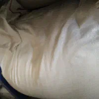 آرد غازوغوغاز مرغ گین ولری وکیمدی