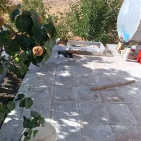 فروش باغ ۱۱ هکتاری با قنات اختصاصی در منطقه قاهان|فروش خانه و ویلا|قم, آزادگان|دیوار