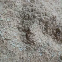 سبوس برنج پر از دانه