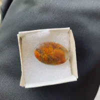 نگین شجر پاییزی